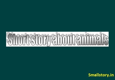 Short story about animals | (Owl and parrot story in english)